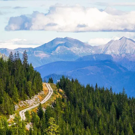 In - Steiermark 41122 Appartement Bad Mitterndorf