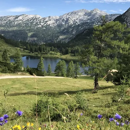 Appartement In - Steiermark 41122