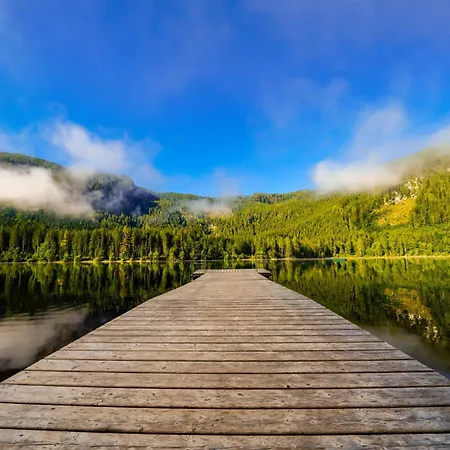 In - Steiermark 41122 Lägenhet *