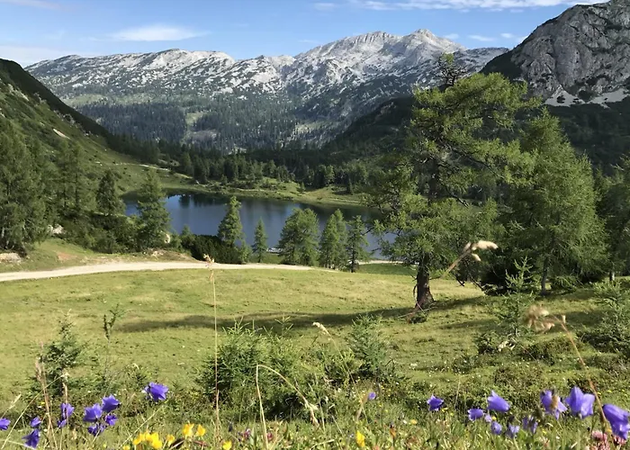 Apartamento In - Steiermark 41122