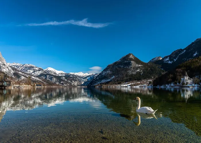 In - Steiermark 41122