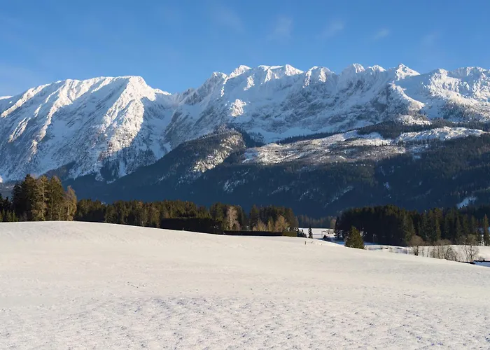 Apartment In - Steiermark 41122